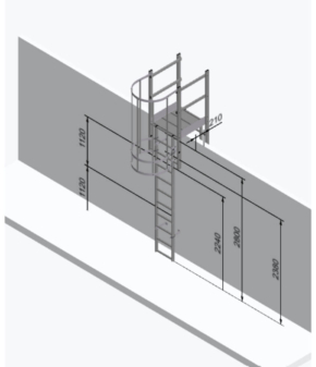 Galvanised Steel Fixed Vertical Access Cat Ladder with Parapet Crossover