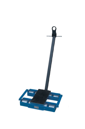Steerable Skates