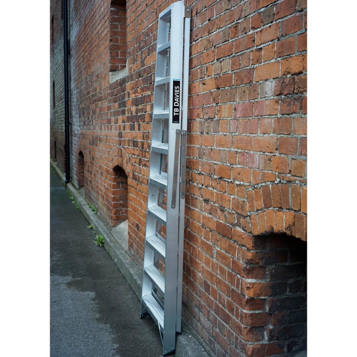 Heavy Duty Professional Swing Back Step Ladders