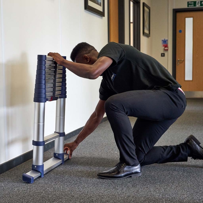 Xtend and Climb Pro Series S2.0 Ladder