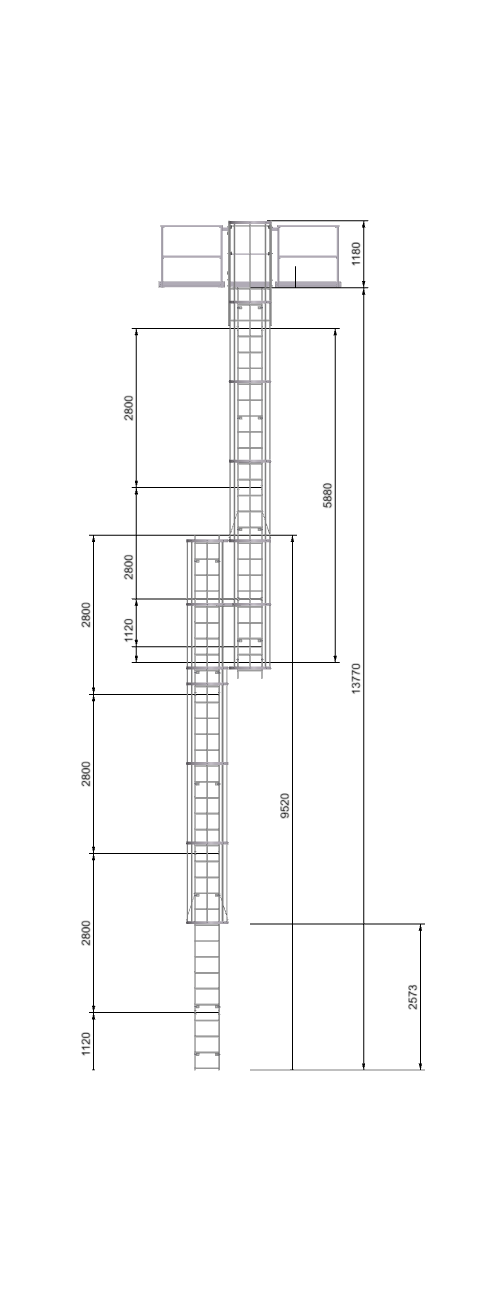 Bespoke or Custom Vertical Access Ladder
